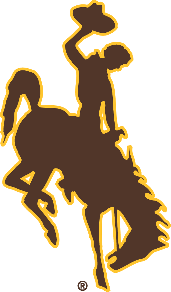 Wyoming Cowboys 2006-Pres Primary Logo diy DTF decal sticker